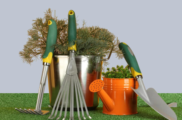 Garden & Outdoor