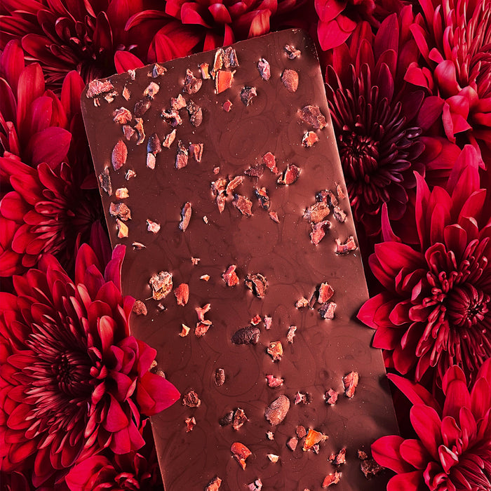 ANTIDOTE CHOCOLATE TONA: RAW 100% CACAO + NIBS - 12 Bars by Farm2Me