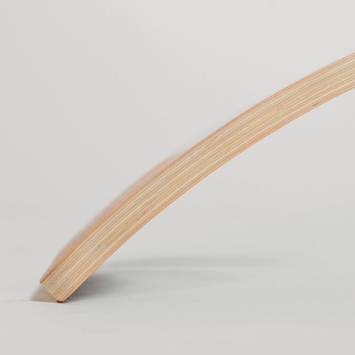 Kids using wobble board for balance