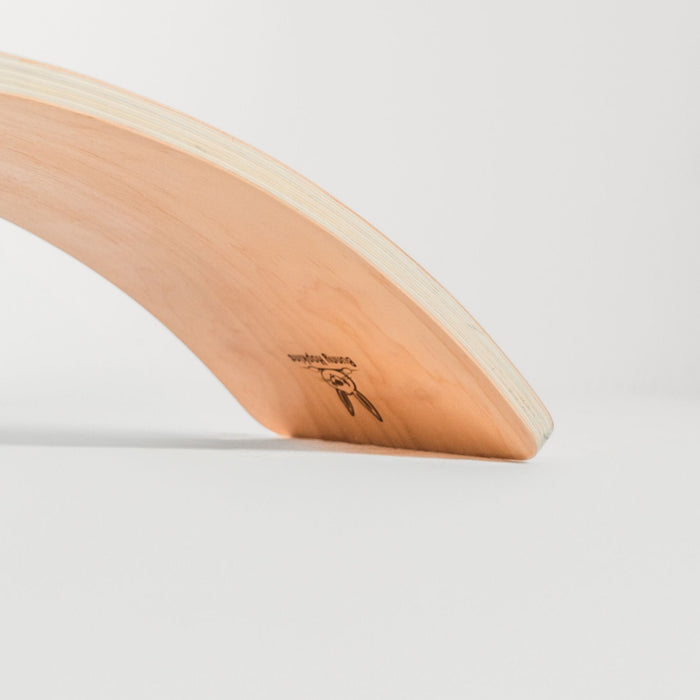 Kids balancing and playing on wobble board