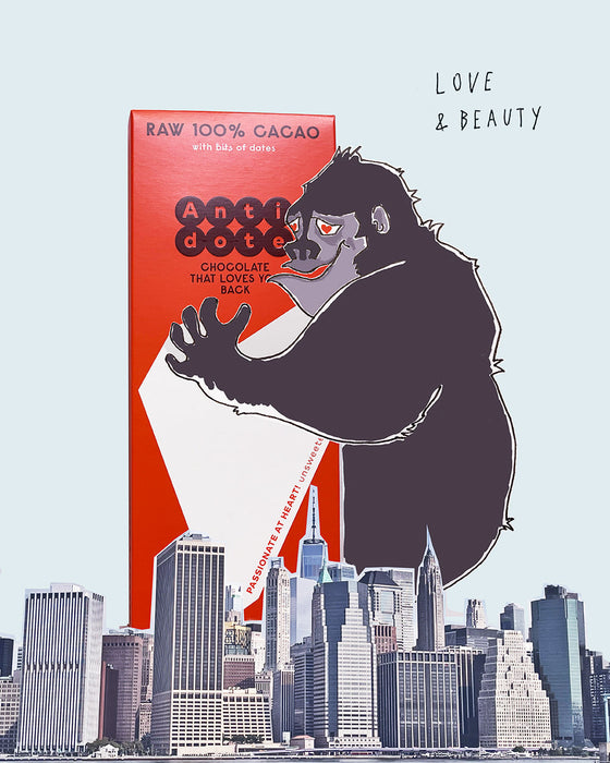 ANTIDOTE CHOCOLATE XOCHI: RAW 100% CACAO + DATES - 12 Bars by Farm2Me