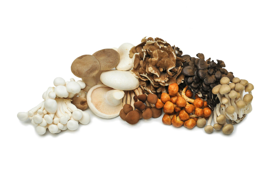 Certified Organic Exotic ShroomBox by Farm2Me