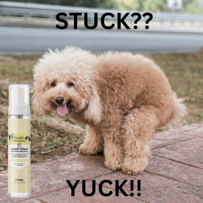 Fanny Foam™ Doggy Dingleberry Remover and Muddy Paw Treatment for Poop Free Pups Pet Grooming Supplies Frankie and Paisley Pet Products