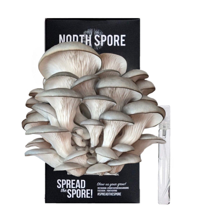 North Spore Organic Blue Oyster ‘Spray & Grow’ Mushroom Growing Kit by Farm2Me