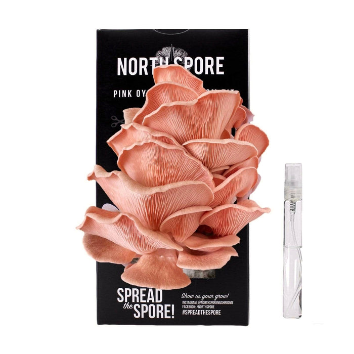 North Spore Organic Pink Oyster ‘Spray & Grow’ Mushroom Growing Kit by Farm2Me