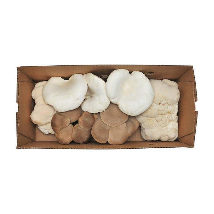 Certified Organic Exotic ShroomBox by Farm2Me
