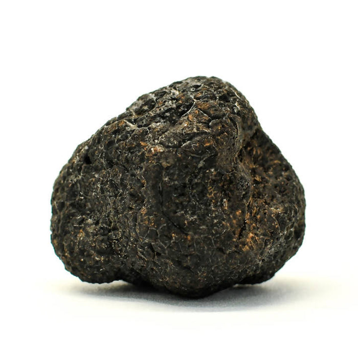 Fresh Italian Summer Truffles by Farm2Me