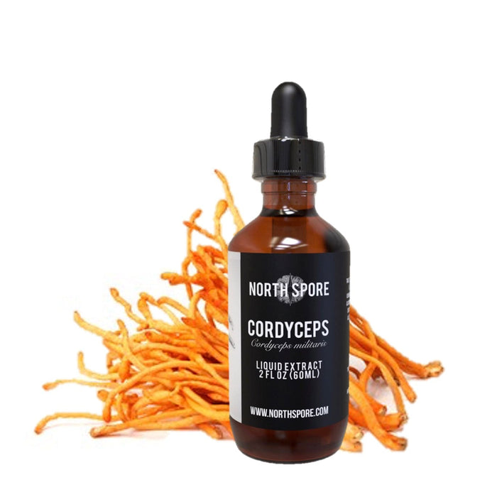North Spore Cordyceps Mushroom Tincture by Farm2Me