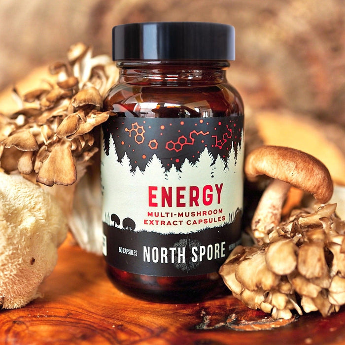North Spore Organic ‘Energy’ Multi-Mushroom Capsules by Farm2Me
