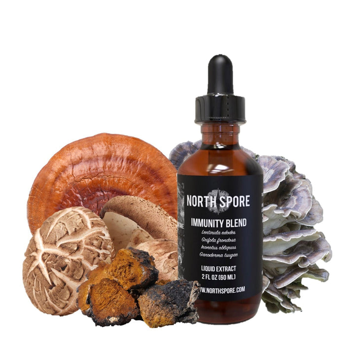 North Spore Immunity Mushroom Blend Tincture by Farm2Me