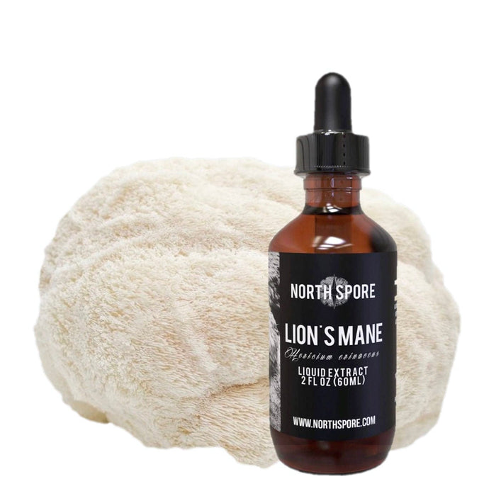 North Spore Lion's Mane Mushroom Tincture by Farm2Me