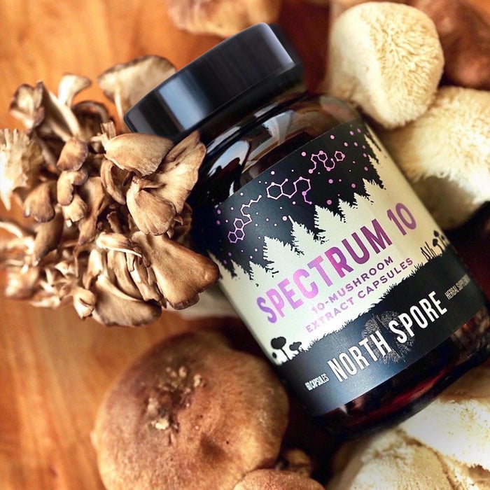 North Spore Organic ‘Spectrum 10’ Multi-Mushroom Capsules by Farm2Me
