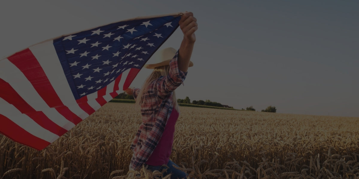 American flag being carefully inspected and gently cleaned before storage