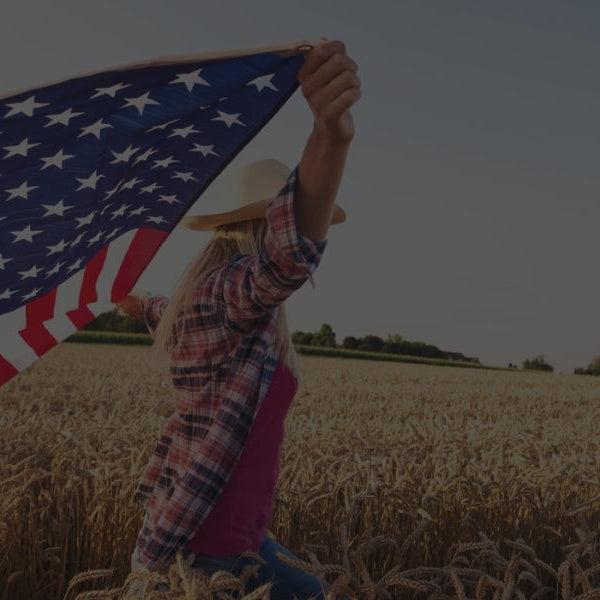 American flag being carefully inspected and gently cleaned before storage