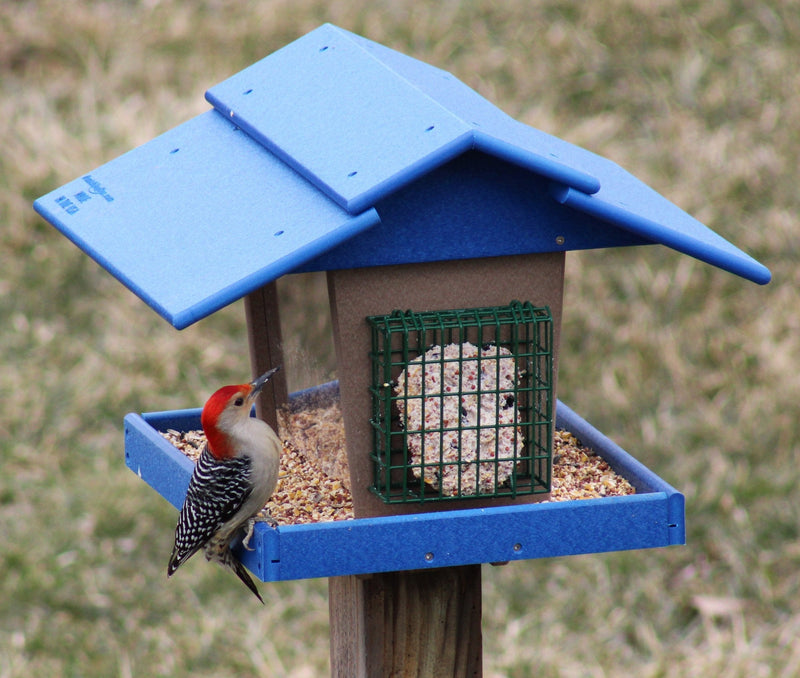 American-made bird feeders and birdhouses in a backyard garden