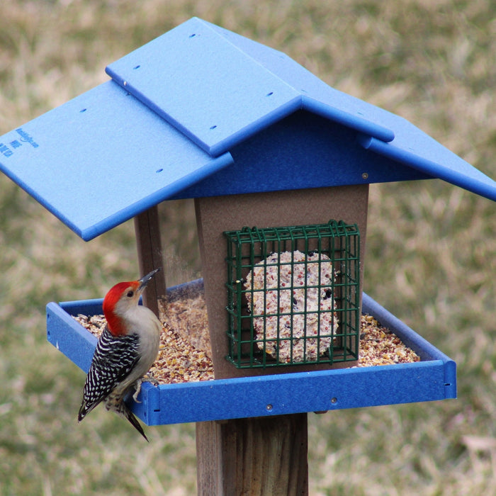 American-made bird feeders and birdhouses in a backyard garden