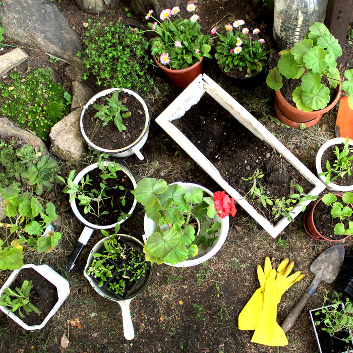 Garden & Outdoors
