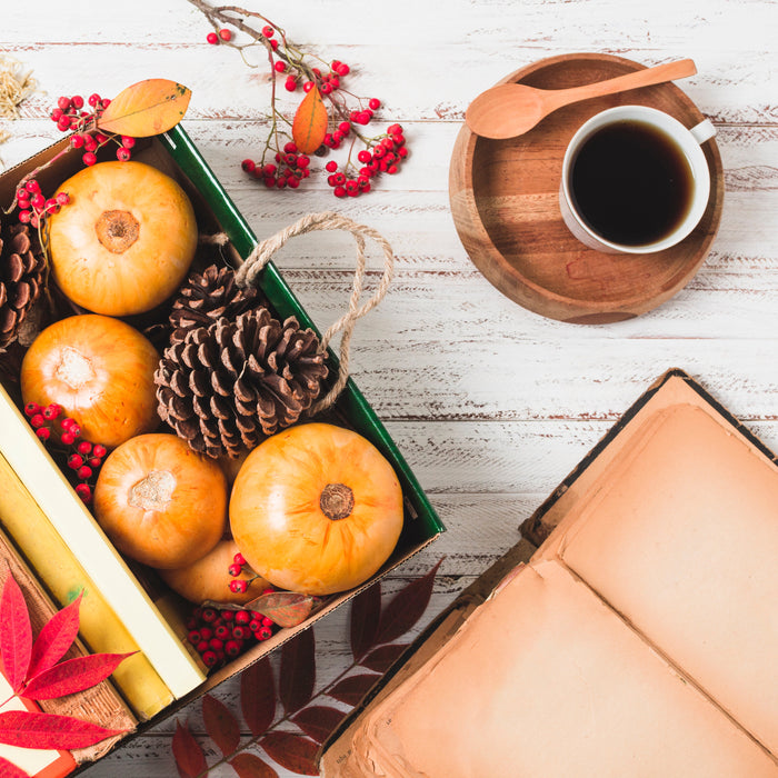 Fall Favorites