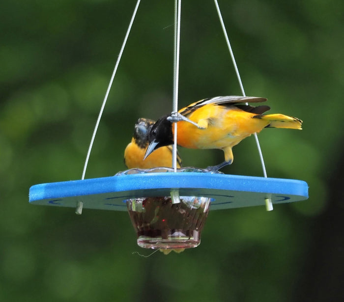 American-made bird feeders and birdhouses crafted from wood and recycled poly lumber