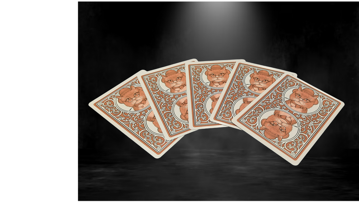 Bicycle Poker Cats V2 Playing Cards - Hand-Drawn Feline Artwork Deck