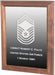 Military Laser Engraved Rank Insignia Mirror Frame., , The Military Gift Store, mirror frame