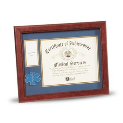 EMS Frame 8x10 EMS Medallion,Certificate,Medal Frame., Medal Frame., The Military Gift Store, Military medal and Certificate frame