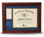 EMS Frame 8x10 EMS Medallion,Certificate,Medal Frame., Medal Frame., The Military Gift Store, Military medal and Certificate frame