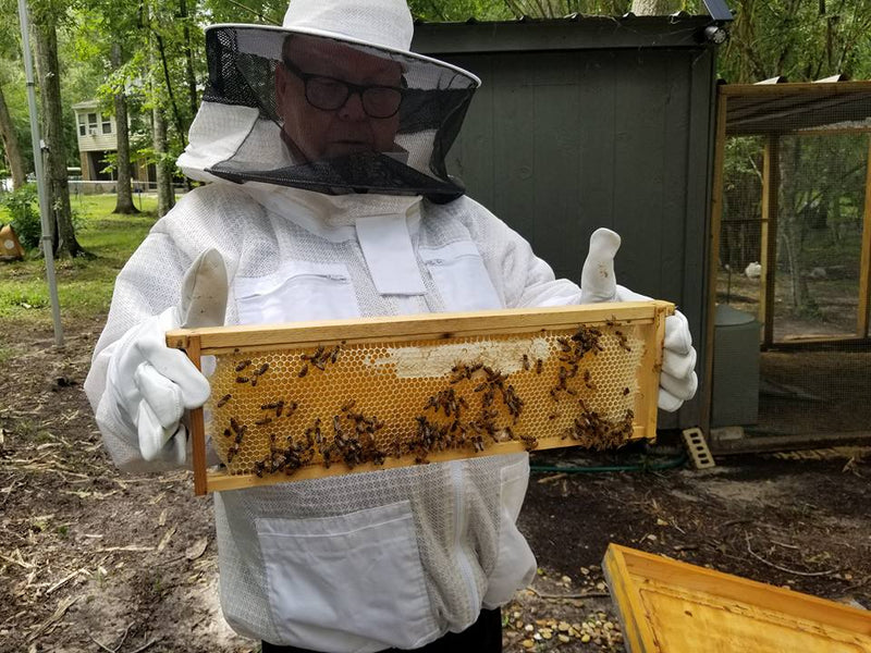 1lb Wild Flower Raw Honey image 10
