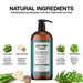 3 PACK - Men's 3-in-1 Moisturizing Shampoo, Conditioner, and Body Wash, Tea Tree 32oz by Abbot Kinney Apothecary Men's Grooming Los Angeles Brands 