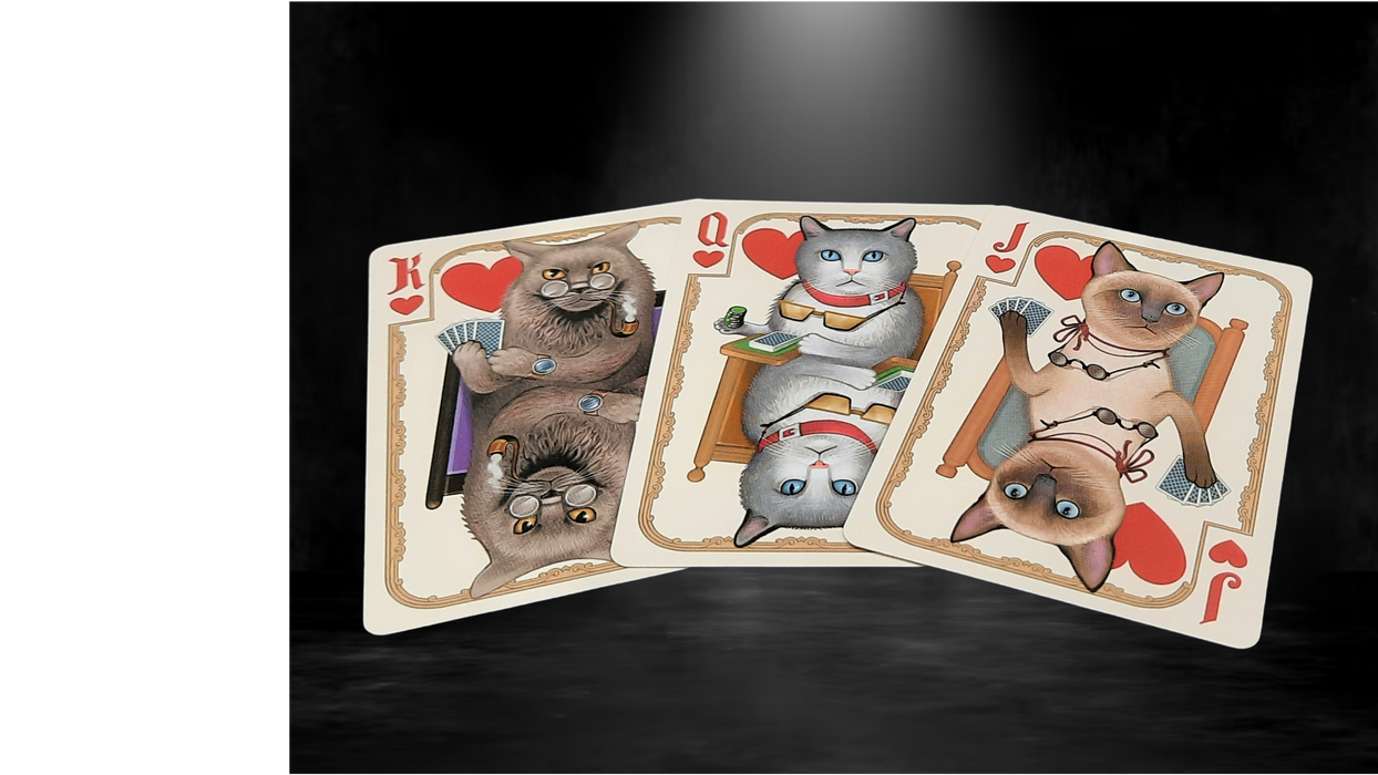 Bicycle Poker Cats V2 Playing Cards - Hand-Drawn Feline Artwork Deck