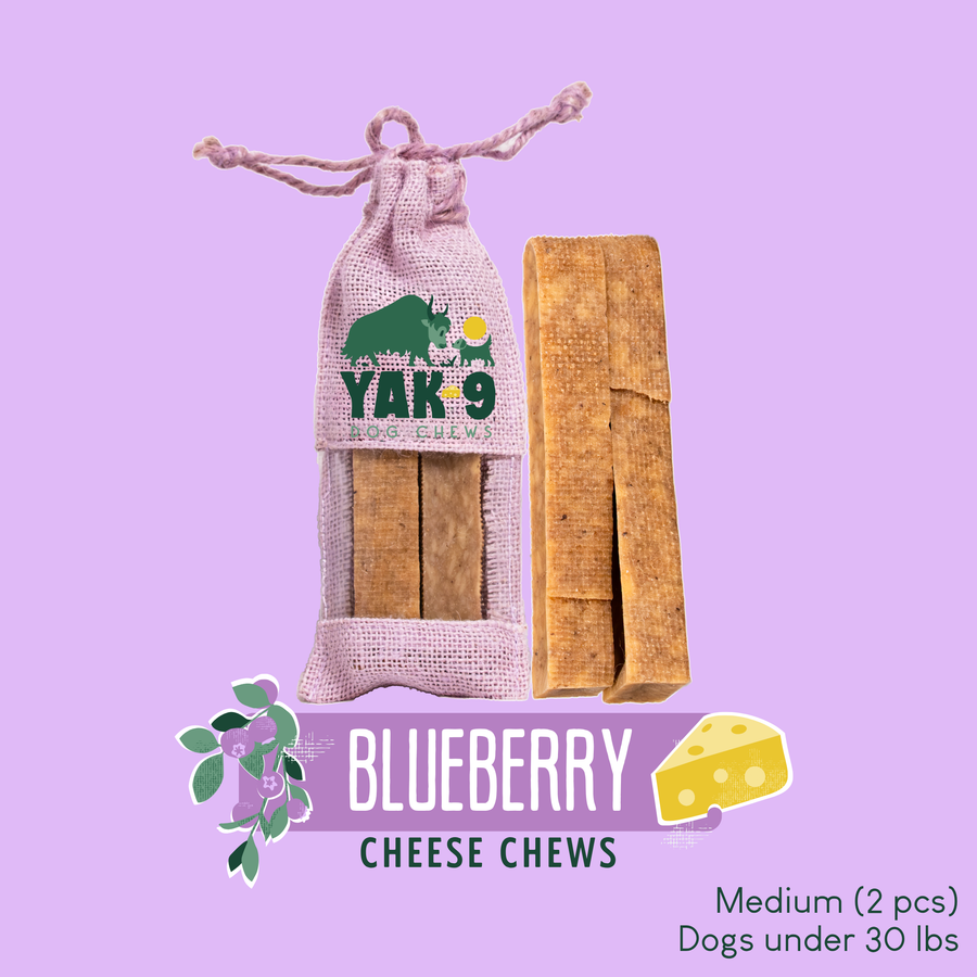 Blueberry Yak Chews for Dogs