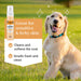 Waterless Dog Shampoo - Colloidal Oatmeal - 7.1oz Pet Grooming Frankie and Paisley Pet Products 