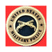 Military Police Wall Tributes - 12"., , The Military Gift Store, Wall Tributes