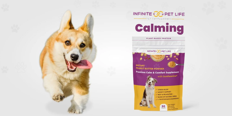 Premium Calm and Comfort Powder by Infinite Pet