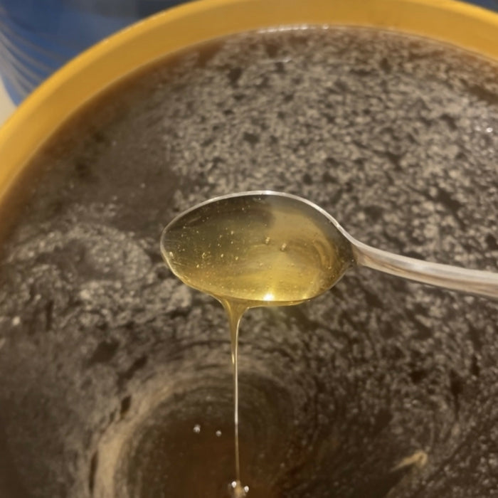 Arvoli Raw & Unfiltered Wildflower Honey - HALF GALLON of HONEY - 6 lb Jug by Farm2Me