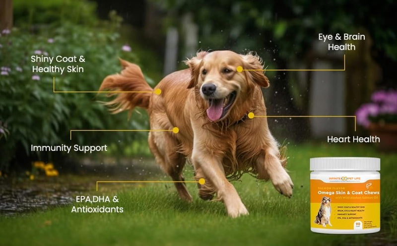 Salmon Flavor Omega Skin & Coat soft chews with Wild Alaskan Salmon Oil by Infinite Pet