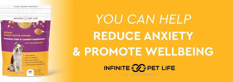 Premium Calm and Comfort Powder by Infinite Pet