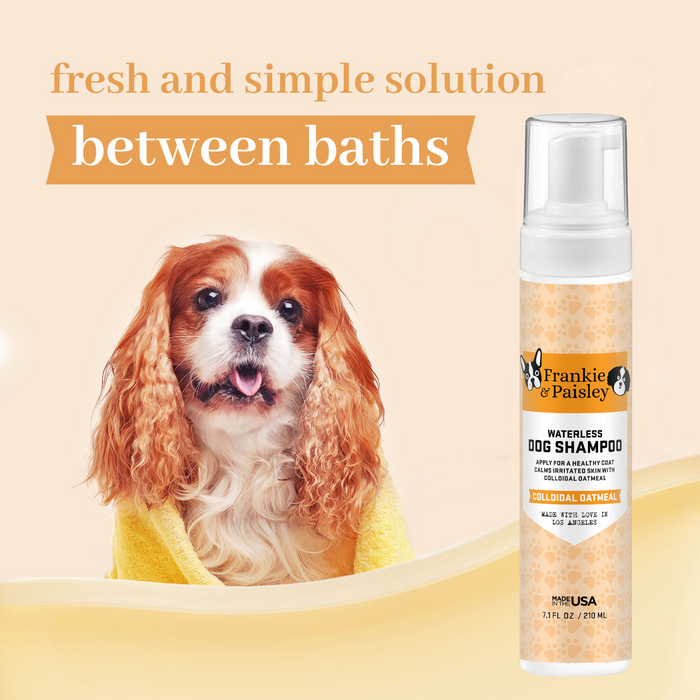 Waterless Dog Shampoo - Colloidal Oatmeal - 7.1oz Pet Grooming Frankie and Paisley Pet Products 