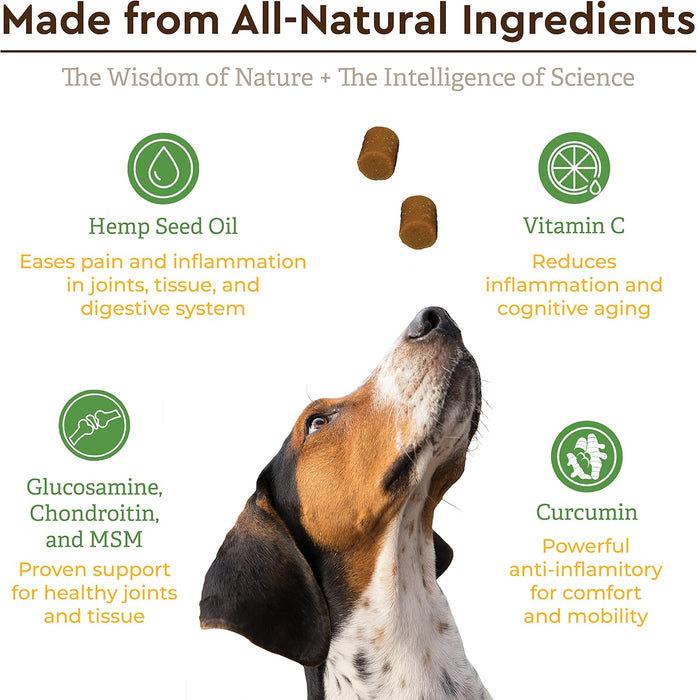 Ultimate Hip & Joint Soft Chew by Infinite Pet