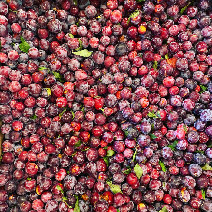 Vanilla Plum Medley Spoon Preserves by Farm2Me