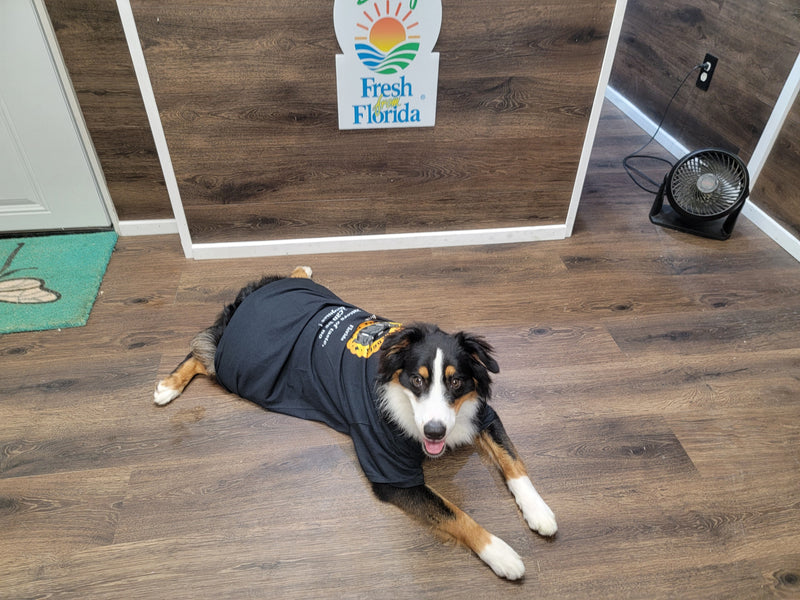 Hibiscus & Rose Honey image 8