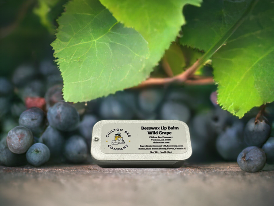 Lip Balm Tin | 0.3 oz | 100% Natural