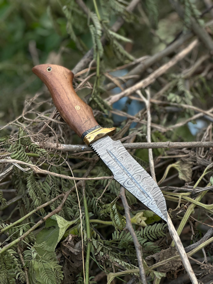 Hunting Blade – 10" Damascus Steel Knife with Rosewood Handle, Brass Guard & Leather Sheath