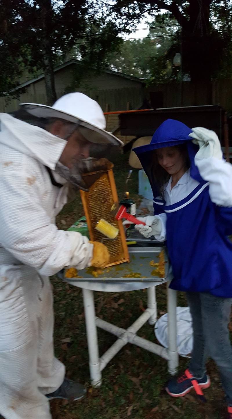 Two people inspecting a hive frame outdoors