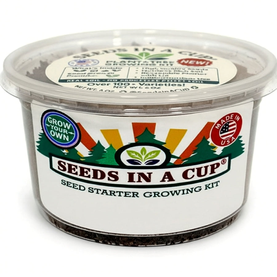 Dill Grow Kit | Seeds In A Cup®