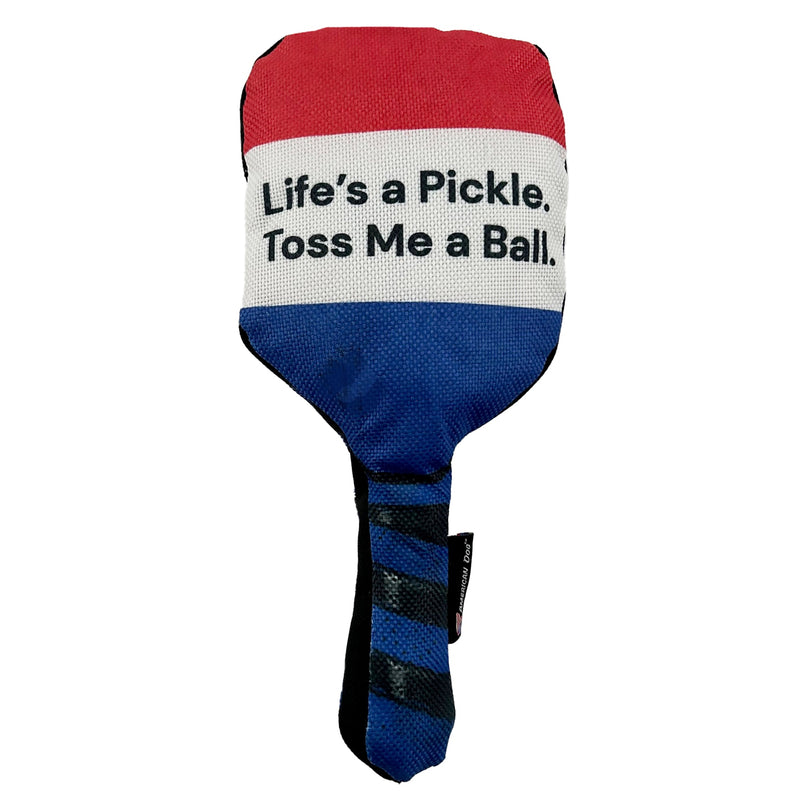 Pickle Ball Paddle