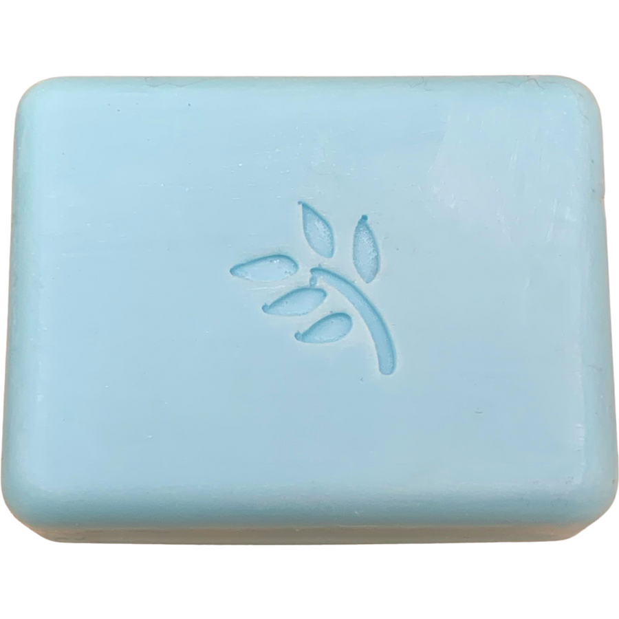 Cactus and Sea Salt Scented Artisian Bar of Soap with Shea Butter, Mango Butter and Coco Butter