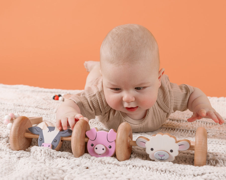 Baby reaching toward a rolling wooden farm animal toy