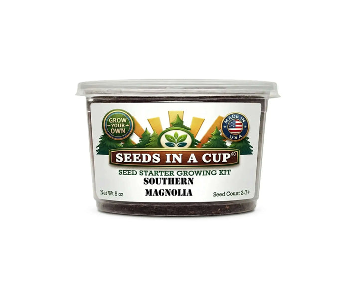 Southern Magnolia Grow Kit