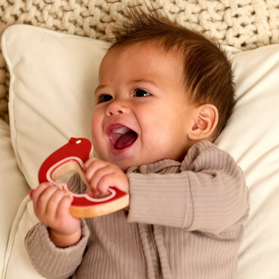 Baby holding a bird-shaped wooden rattle and teether